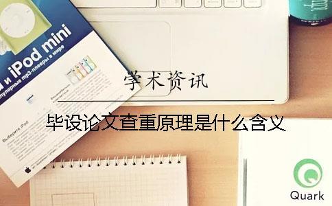 畢設(shè)論文查重原理是什么含義